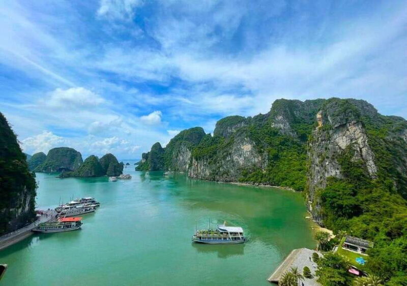 Alova Premium Cruise - Deluxe Day Tour From Ha Long Bay - Highlights and Experiences