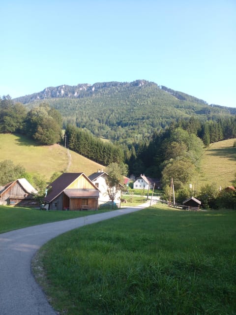Alp Mountains Tour - Languages Offered