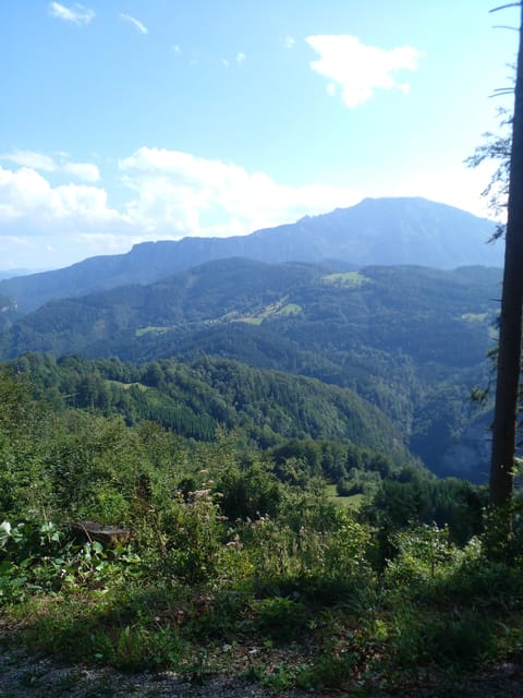 Alp Mountains Tour - Meeting Point