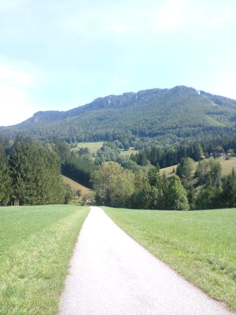 Alp Mountains Tour - Discovering Austria and Tirol
