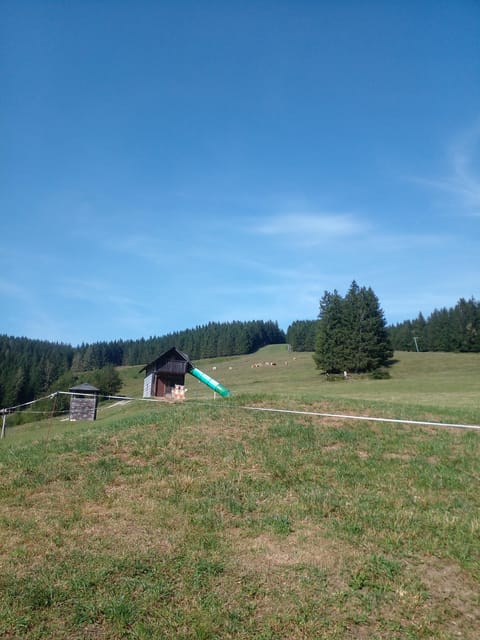 Alp Mountains Tour - Venturing Into Italy, Switzerland, and France