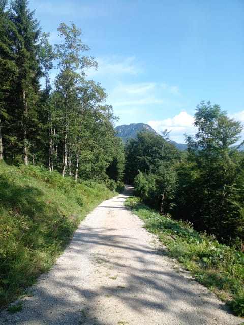 Alp Mountains Tour - Frequently Asked Questions