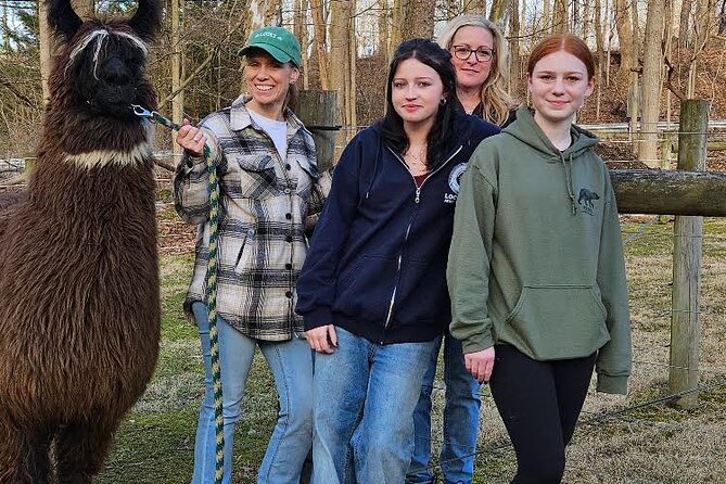 Alpaca and Llama Encounter With Guided Walk - What to Expect on the Tour