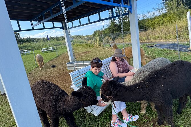 Alpaca Farm Experience on the Road to Hana - Enjoying the Farm Treats