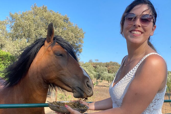 Alpaca Meet and Feed in Grândola - Accessibility and Participation