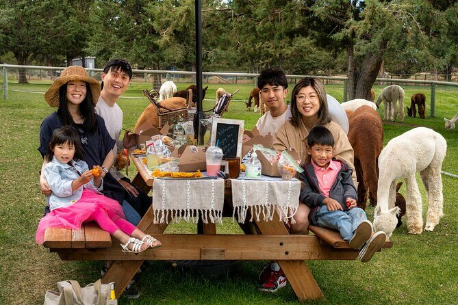 Alpaca Picnic Experience in Oregon - Who Will Love This Experience?