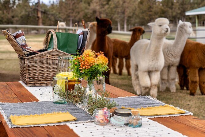 Alpaca Picnic Experience in Oregon - Final Thoughts