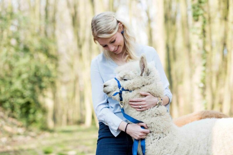 Alpaca Therapy and Artisanal Creativity - Itinerary and Experience