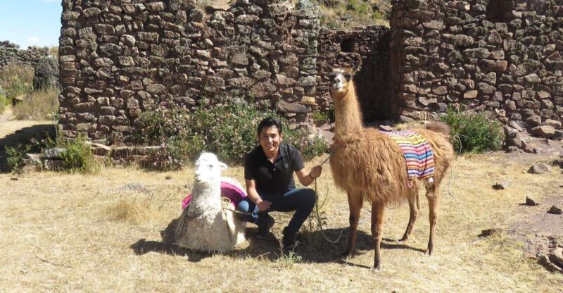 Alpaca Therapy and Healing With Clay - Connection With Mother Earth