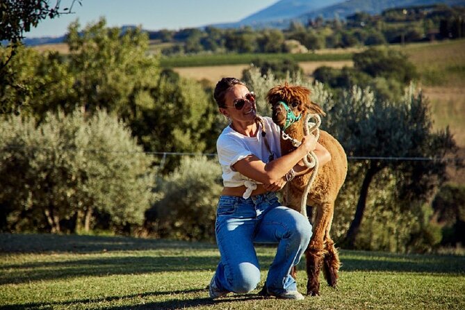 Alpaca Trek - Transportation and Pickup Details