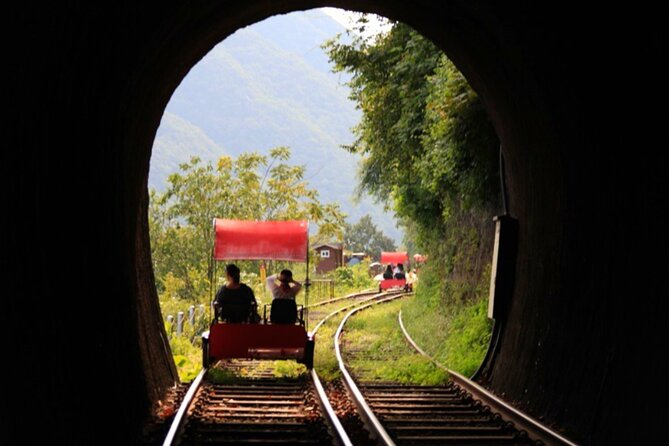 Alpaca World and Nami Island With Gangchon Rail Bike Tour - Alpaca World Experience