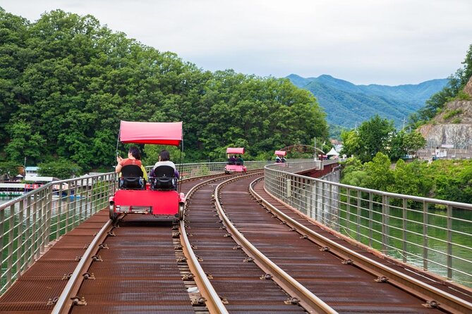 Alpaca World and Nami Island With Gangchon Rail Bike Tour - Tour Guide Performance