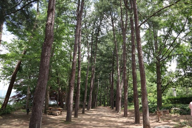 Alpaca World and Nami Island With Gangchon Rail Bike Tour - Feedback and Recommendations