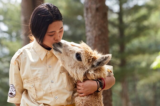 Alpaca World & Nami Island & Garden of Morning Calm One Day Tour - Transportation and Accessibility