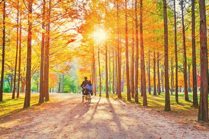 Alpaca World & Nami Island & Garden of Morning Calm One Day Tour - Garden of Morning Calm