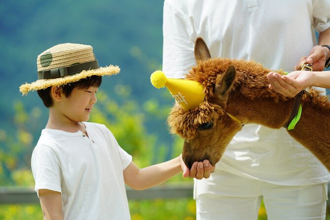 Alpaca World & Suspension Bridge Day Tour With Luge Ride - Inclusion and Accessibility