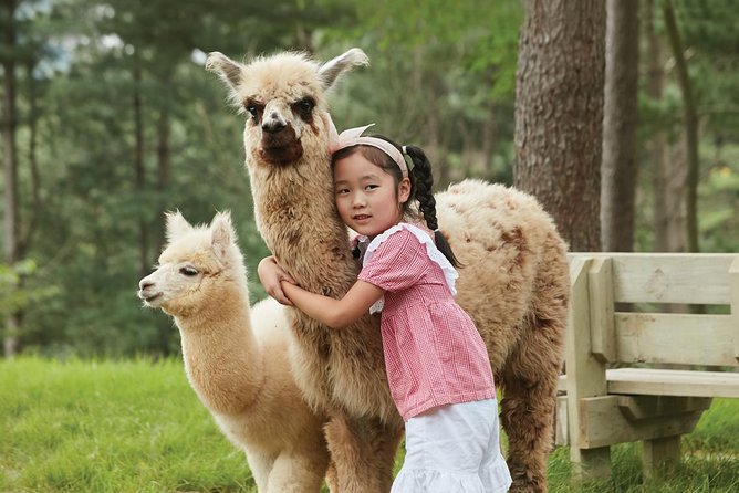 Alpaca World & Suspension Bridge Day Tour With Luge Ride - Participant Guidelines