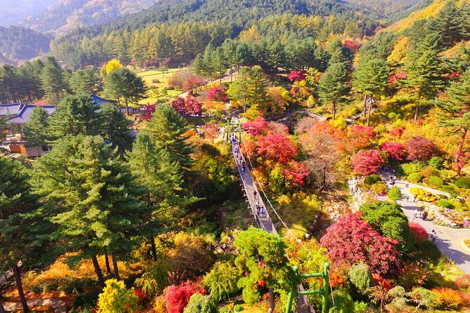 Alpaca World Tour With Nami Island & Optional Railbike or Garden - Alpaca World Tour Highlights