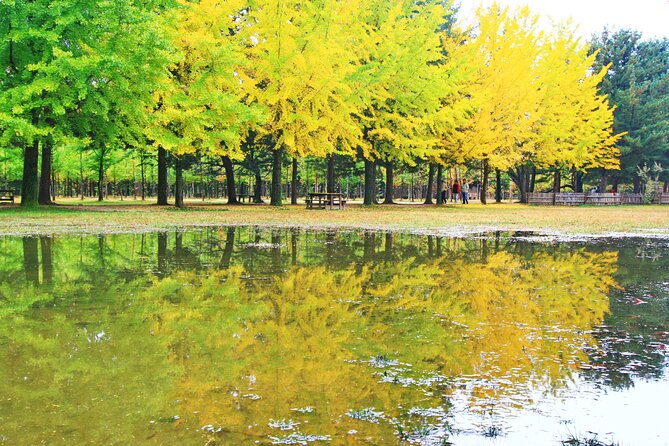 Alpaca World Tour With Nami Island & Optional Railbike or Garden - Convenient Tour Logistics