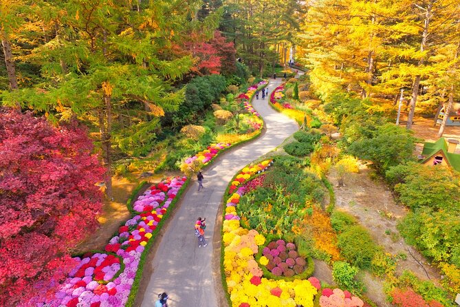 Alpaca World Tour With Nami Island & Optional Railbike or Garden - Exploring Popular Destinations