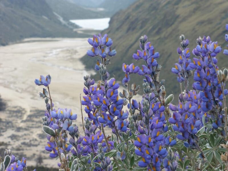ALPAMAYO MOUNTAIN (5947 M) GUIDED EXPEDITION (7 Days)- PERU - Expedition Itinerary