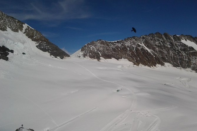 Alpine Heights: Exclusive Small Group Journey to Jungfraujoch - Getting to the Departure Location