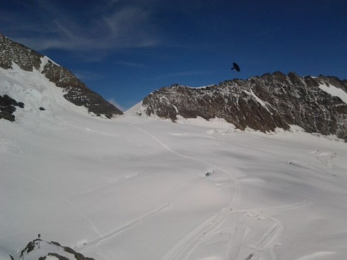 Alpine Majesty: Basel to Jungfraujoch Exclusive Private Tour - Exploring Jungfraujoch: The Top of Europe