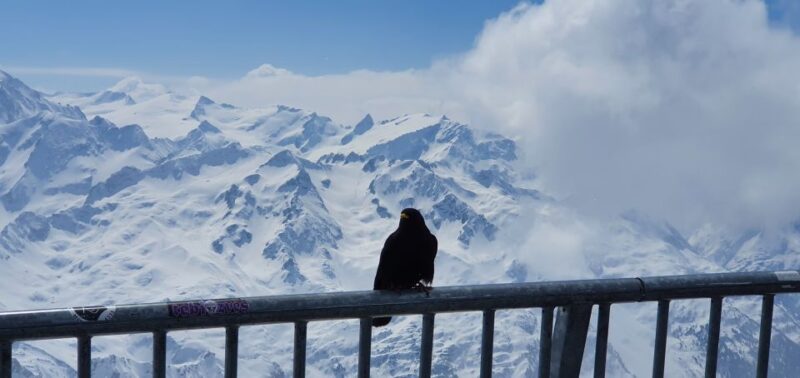 Alpine Majesty: Private Tour to Mount Titlis From Luzern - Titlis Glacier Cave