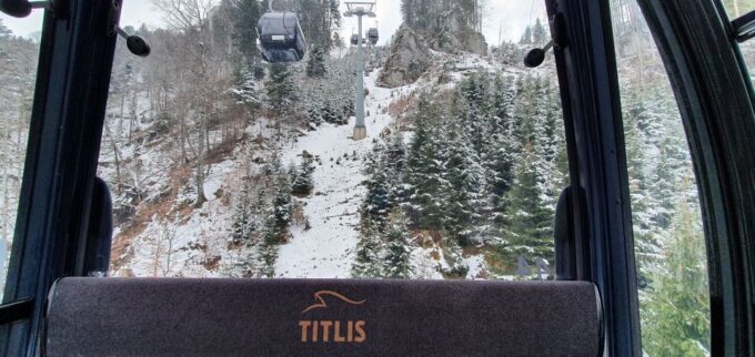 Alpine Majesty: Private Tour to Mount Titlis From Zurich - Accessibility and Assistance