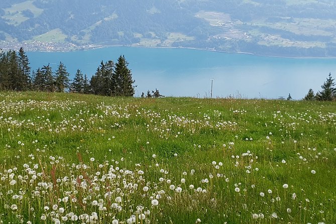 Alpine Panoramic Private Trip From Zurich - Explore the Swiss Alps