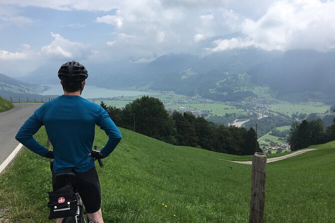 Alpine Tour Across Switzerland - Customer Reviews