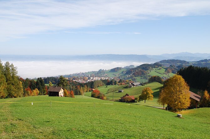 Alpine Tour Across Switzerland - Tour Highlights