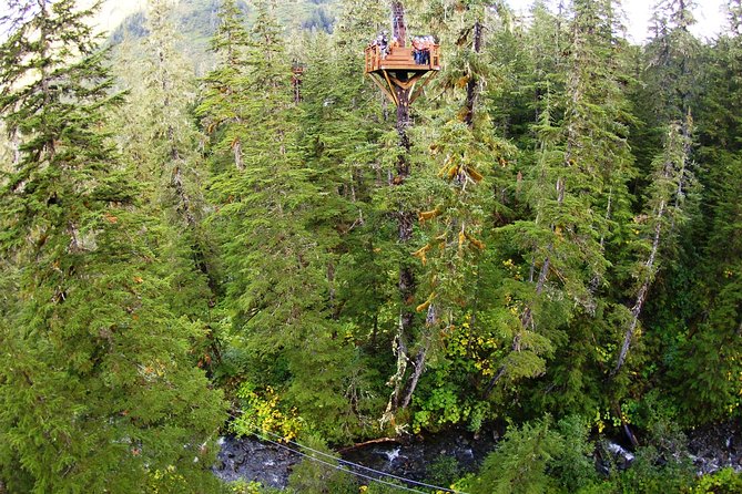 Alpine Zipline Adventure in Juneau, AK - Tour Highlights
