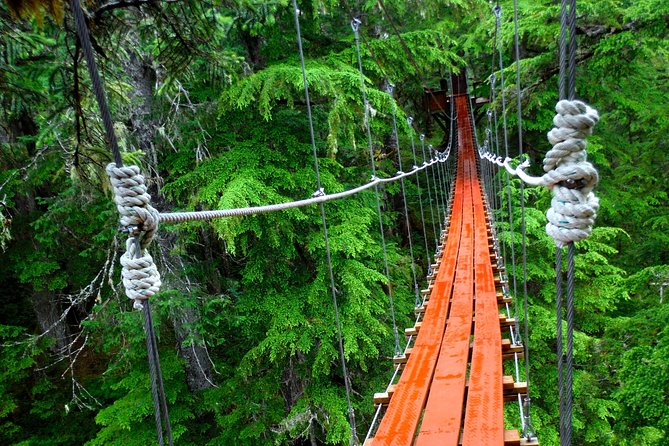 Alpine Zipline Adventure in Juneau, AK - What to Expect
