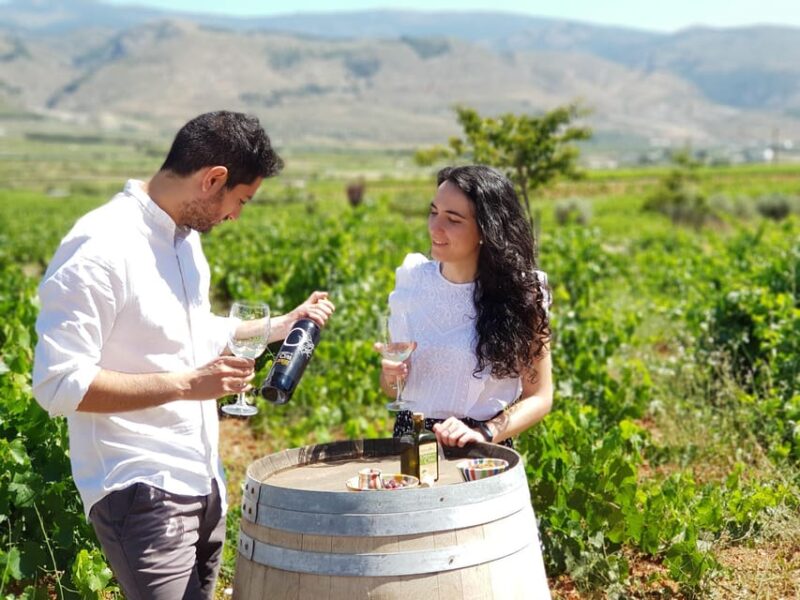 Alpujarra: Wine Tour and Vegan Aperitif in Organic Winery - Key Points