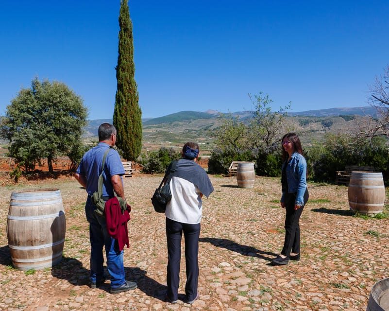 Alpujarra: Wine Tour and Vegan Aperitif in Organic Winery - Highlights of the Experience