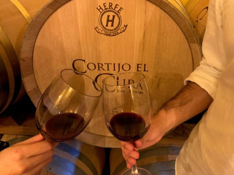 Alpujarra: Wine Tour and Vegan Aperitif in Organic Winery - Meeting Point and Accessibility