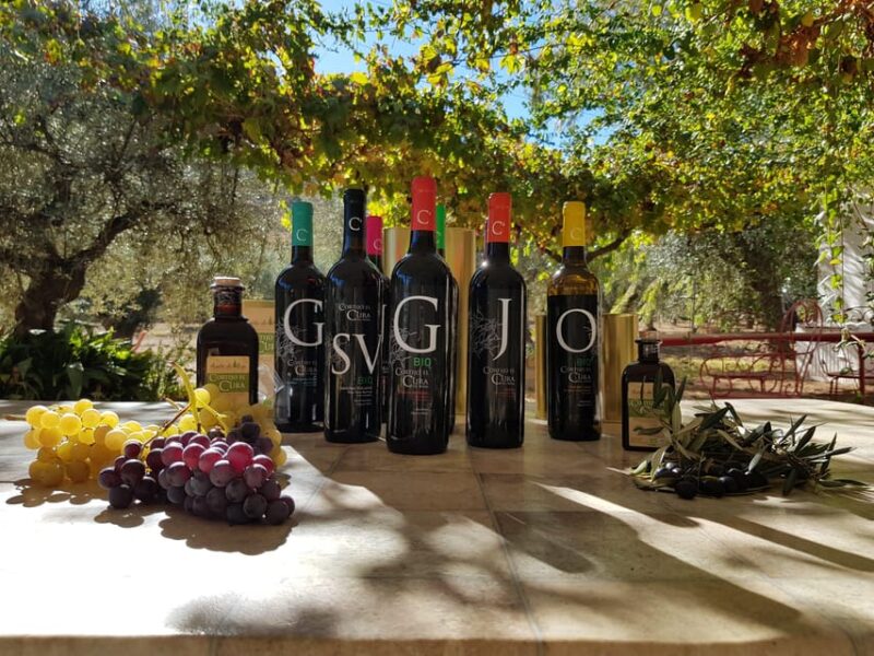Alpujarra: Wine Tour and Vegan Aperitif in Organic Winery - Exploring the Vineyards and Rural Heritage