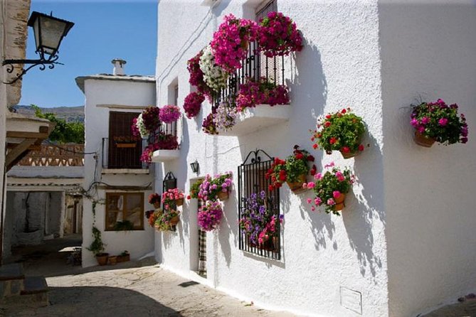 Alpujarras Day Trip Private or Small Tour - Pickup and Start Time