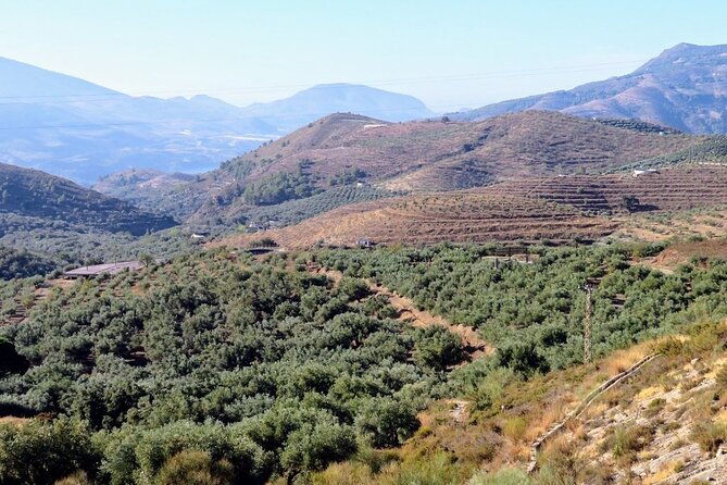 Alpujarras Small Group Tour From Granada - Booking and Logistics