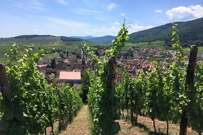 Alsace 4 Wonders Private Full Day Trip - Highlights of the Itinerary