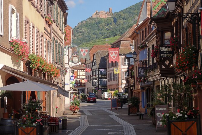 Alsace 4 Wonders Private Full Day Trip - Accessible and Convenient Tour