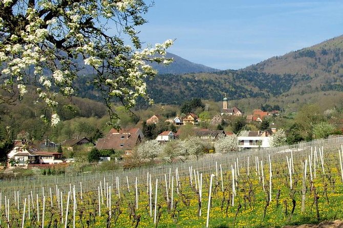 Alsace 4 Wonders Small-Group Day Trip From Colmar - Excluded From the Trip