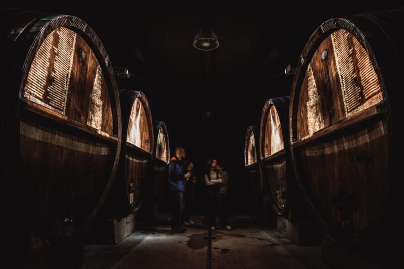 Alsace: Christmas Wine Tour With Wine Tasting - Tasting Wines