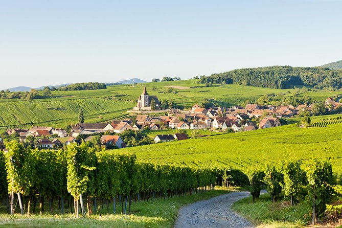 Alsace Colmar, Medieval Villages & Castle Small Group Day Trip From Strasbourg - Tour Inclusions and Exclusions