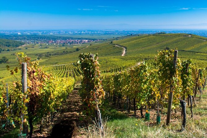 Alsace Full Day Wine Tour From Colmar - Meeting Point and Departure