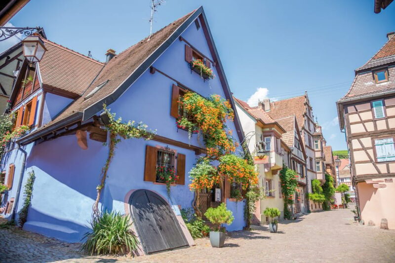 Alsace: Full-Day Wine Tour & Tastings From Strasbourg - Customer Feedback
