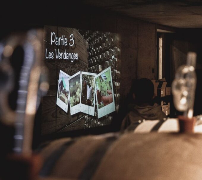 Alsace: Guided Wine Tasting and Cellar Visit - Customer Reviews