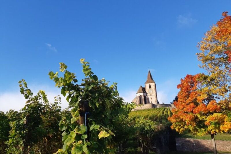 Alsace: Half-Day Wine Tour From Colmar - Visit to Hunawihr