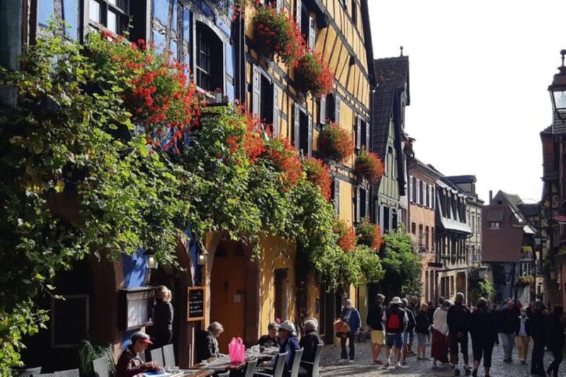Alsace: Half-Day Wine Tour From Colmar - Customer Feedback and Ratings